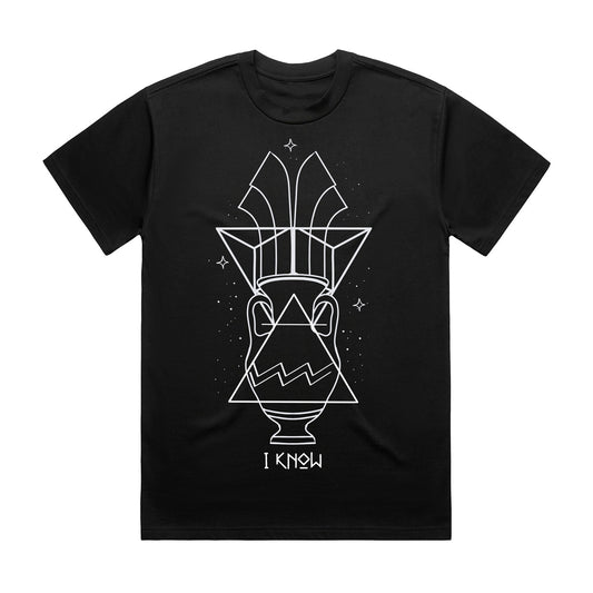 Aquarius T-shirt