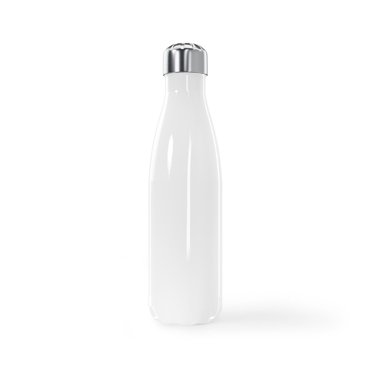 Virgo Stainless Steel Water Bottle, 17oz