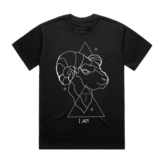 Aries T-shirt